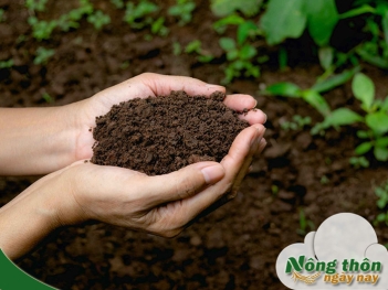 Cách làm phân vi sinh tại nhà đơn giản ai cũng thực hiện được - Nông Thôn ngày nay