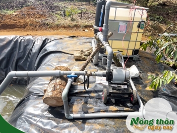 Cách lắp đặt máy bơm nước tưới cây tiết kiệm điện và dễ sử dụng - Nông Thôn ngày nay