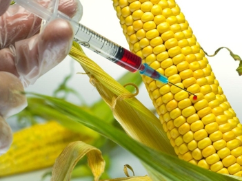 Cây trồng biến đổi gen là gì? Góc nhìn toàn diện về công nghệ gây tranh cãi - Nông Thôn ngày nay