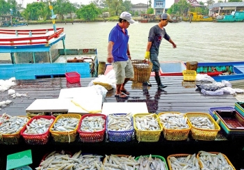 Chất lượng sóng nhựa đựng hải sản Song Long như thế nào? - Nông Thôn ngày nay