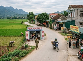 Cơ cấu việc làm nông thôn phản ánh những gì?