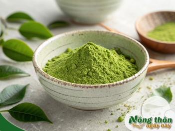 Công dụng của bột trà xanh đắp mặt trong làm đẹp da tự nhiên - Nông Thôn ngày nay