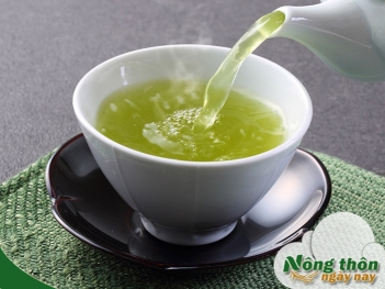 Công dụng của nước trà xanh bạn uống hàng ngày - Nông Thôn ngày nay