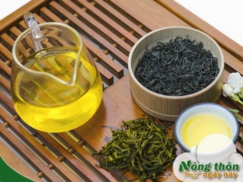 Công dụng của trà xanh khô đối với sức khỏe con người - Nông Thôn ngày nay