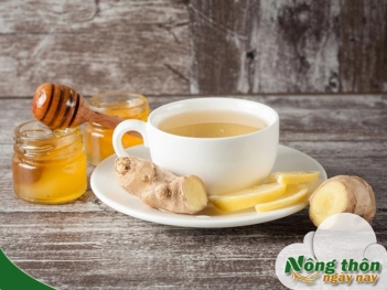 Công dụng của trà xanh mật ong giúp thanh lọc cơ thể mỗi ngày - Nông Thôn ngày nay