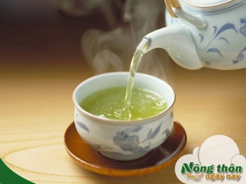 Công dụng của trà xanh có thể bạn chưa biết - Nông Thôn ngày nay