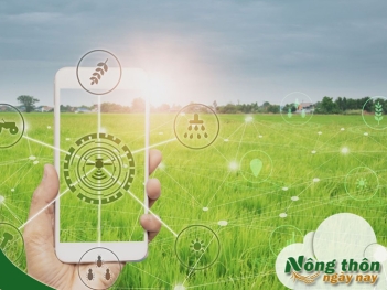 Công nghệ blockchain trong nông nghiệp là gì? Cách giúp nông sản minh bạch hơn - Nông Thôn ngày nay