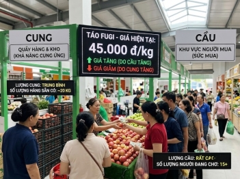 Cung cầu và giá thị trường liên hệ với nhau thế nào?