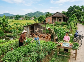Vì sao đa dạng hóa sinh kế giúp ổn định thu nhập?