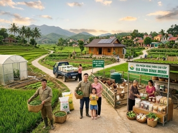 Đa dạng hóa thu nhập nông thôn được hiểu thế nào?