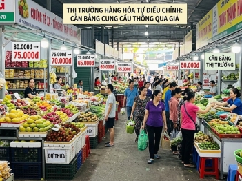 Tác giả Dương Minh Thanh Bảo