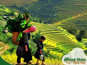 Du lịch Sapa mùa nào đẹp nhất để săn mây ngắm ruộng bậc thang - Nông Thôn ngày nay