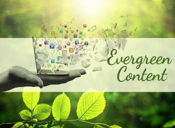 Kỹ thuật SEO evergreen: Tăng trưởng bền vững cho website