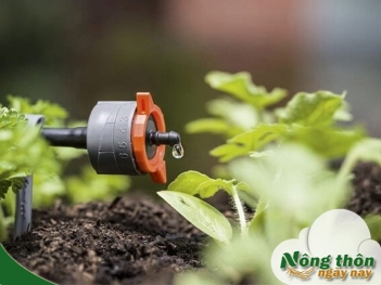 Hệ thống tưới nhỏ giọt là gì? Hiểu ngay cách vận hành tiết kiệm nước - Nông Thôn ngày nay