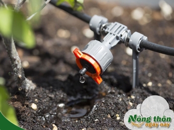 Hệ thống tưới nhỏ giọt tự động lắp đặt dễ dàng tiết kiệm công sức - Nông Thôn ngày nay