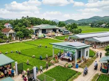 Các hình thức tổ chức kinh tế nông thôn được phân loại thế nào?