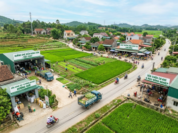 Tác giả Dương Minh Thanh Bảo