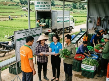 Kinh tế tập thể nông thôn có vai trò gì?