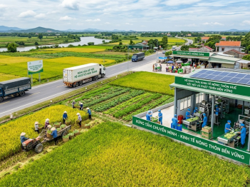 Liên kết kinh tế nông thôn ảnh hưởng đến cấu trúc thế nào?