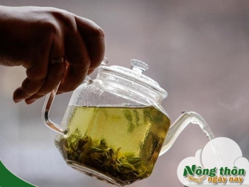 Lợi ích uống trà xanh mỗi ngày có thể bạn chưa biết - Nông Thôn ngày nay