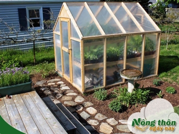 Mô hình nhà kính mini giải pháp trồng rau sạch tiết kiệm diện tích - Nông Thôn ngày nay