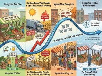 Mùa vụ và biến động giá liên hệ với nhau thế nào?