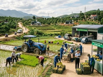 Nguồn lực lao động nông thôn ảnh hưởng kinh tế thế nào?