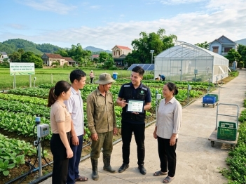 Nguồn lực tri thức nông thôn thúc đẩy phát triển thế nào?
