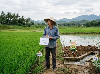Phân biệt nguyên nhân và tương quan trong hiện tượng nông thôn