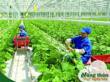 Nông nghiệp tuần hoàn là gì? Xu hướng phát triển xanh cho tương lai - Nông Thôn ngày nay