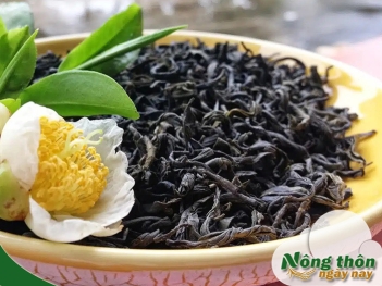 Phân biệt chè và trà đúng cách theo vùng miền Việt Nam - Nông Thôn ngày nay