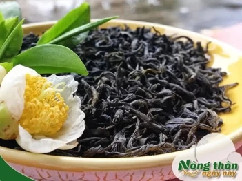 Phân biệt chè và trà đúng cách theo vùng miền Việt Nam - Nông Thôn ngày nay