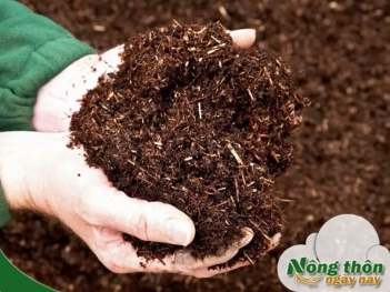 Phân bón hữu cơ là gì? Bí quyết giúp cây khỏe mạnh tự nhiên - Nông Thôn ngày nay