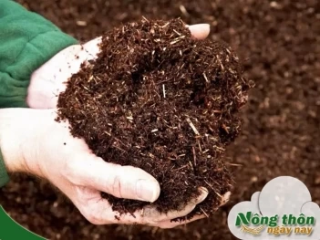 Phân bón hữu cơ là gì? Bí quyết giúp cây khỏe mạnh tự nhiên - Nông Thôn ngày nay