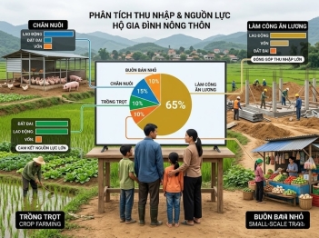 Đánh giá phụ thuộc nguồn sinh kế của hộ bằng cách nào?