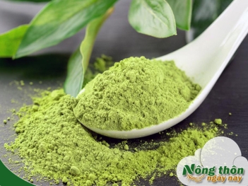 Tác dụng của bột trà xanh đối với da mặt mụn - Nông Thôn ngày nay