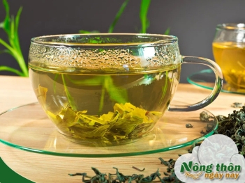 Tác dụng của nước trà xanh tươi đối với tiêu hóa - Nông Thôn ngày nay
