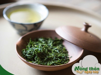 Tác dụng của trà xanh khô pha uống mỗi ngày - Nông Thôn ngày nay