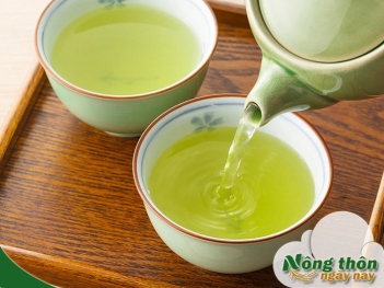 Trà xanh có chất gì? Các thành phần chính trong trà xanh - Nông Thôn ngày nay