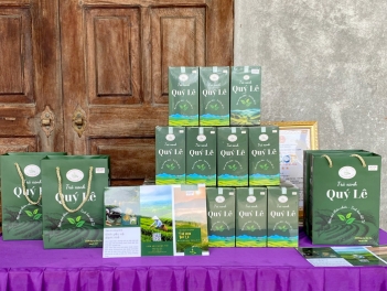 Trà xanh Quý Lê - Từ “Nương chè Hạnh Phúc” đến chén trà sạch vì sức khỏe người Việt - Nông Thôn ngày nay