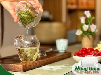 Trẻ em uống trà xanh có tốt không? Những rủi ro cha mẹ cần biết - Nông Thôn ngày nay