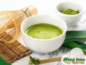 Uống bột trà xanh matcha có tốt không? Liều lượng bao nhiêu - Nông Thôn ngày nay