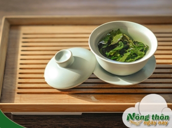Uống trà xanh bao lâu thì giảm cân có kết quả rõ rệt - Nông Thôn ngày nay