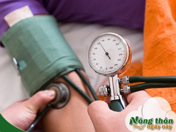 Uống trà xanh có giảm huyết áp không? Bác sĩ tim mạch khuyên gì - Nông Thôn ngày nay