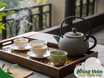 Uống trà xanh có mất ngủ không? Thời điểm nào không nên dùng - Nông Thôn ngày nay