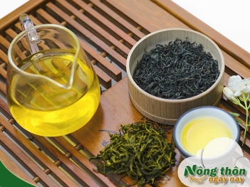 Uống trà xanh có tăng huyết áp không? Khi nào nên hạn chế dùng - Nông Thôn ngày nay