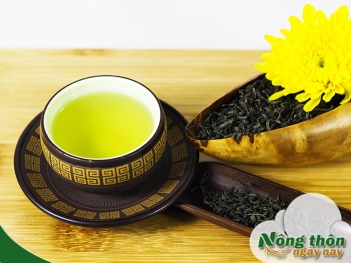 Uống trà xanh có tốt cho gan không? Lưu ý cho người men gan cao - Nông Thôn ngày nay