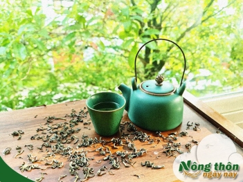 Uống trà xanh có tốt không? Ai nên dùng và ai nên tránh - Nông Thôn ngày nay