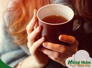 Nên uống trà xanh lúc nào tốt nhất cho sức khỏe - Nông Thôn ngày nay