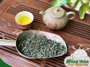 Nên uống trà xanh vào lúc nào để giảm cân nhanh nhất - Nông Thôn ngày nay